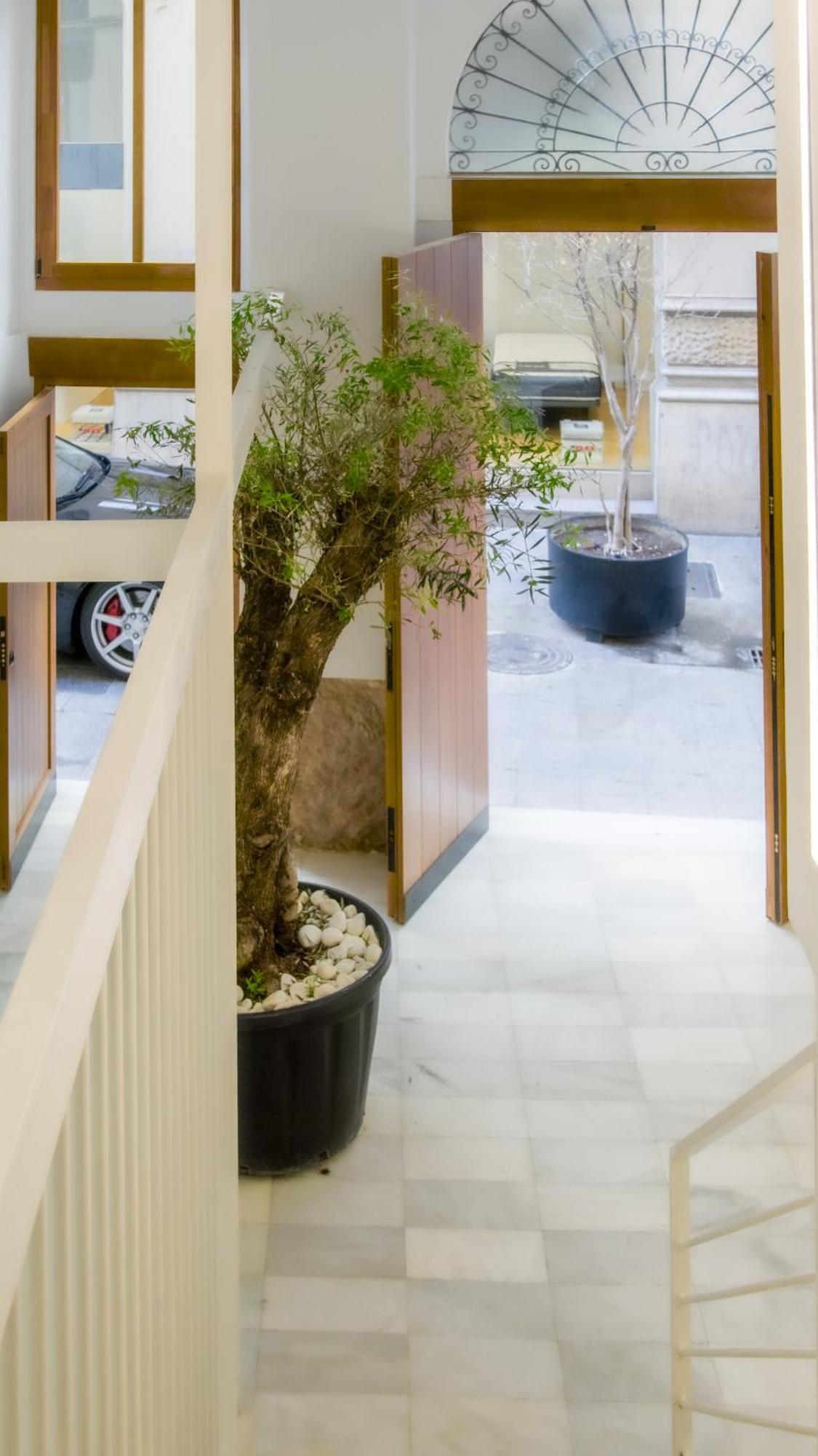 Catalina Suites Apartments Downtown ולנסיה מראה חיצוני תמונה